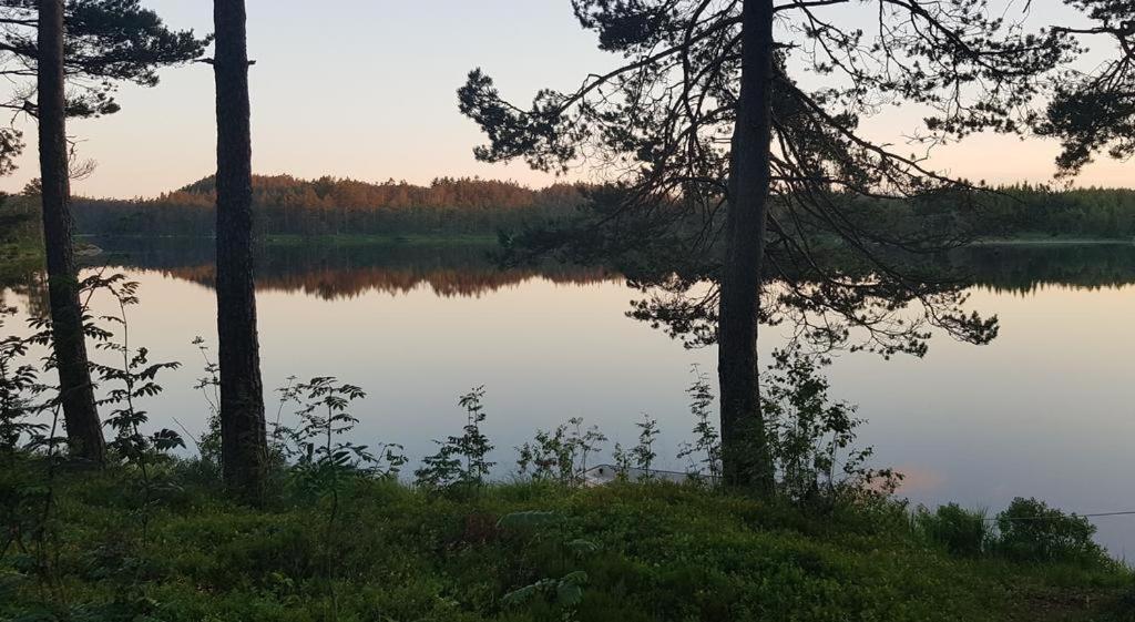 Cabin In The Woods, Lolandsvannet Near Kristiansand Vennesla Exterior photo